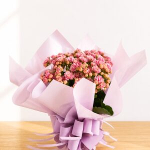 Calandiva Decorada - POTE 11